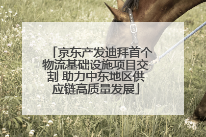 京东产发迪拜首个物流基础设施项目交割 助力中东地区供应链高质量发展