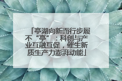 亭湖向新而行步履不“亭”：科创与产业互融互促，催生新质生产力澎湃动能