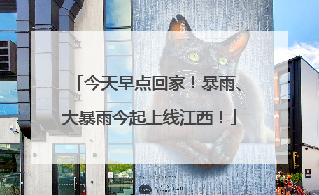 今天早点回家！暴雨、大暴雨今起上线江西！