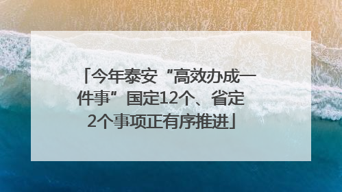 今年泰安“高效办成一件事”国定12个、省定2个事项正有序推进