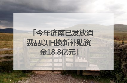 今年济南已发放消费品以旧换新补贴资金18.8亿元