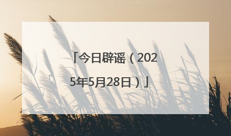 今日辟谣（2025年5月28日）