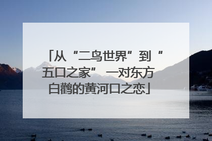 从“二鸟世界”到“五口之家” 一对东方白鹳的黄河口之恋