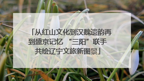 从红山文化到汉魏遗韵再到盛京记忆 “三阳”联手共绘辽宁文旅新图景