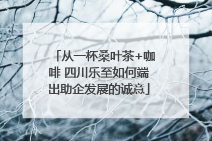从一杯桑叶茶+咖啡 四川乐至如何端出助企发展的诚意