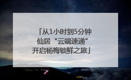 从1小时到5分钟 仙居“云端速递”开启杨梅锁鲜之旅