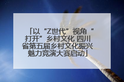 以“Z世代”视角“打开”乡村文化 四川省第五届乡村文化振兴魅力竞演大赛启动