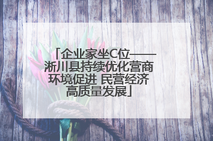 企业家坐C位——淅川县持续优化营商环境促进 民营经济高质量发展