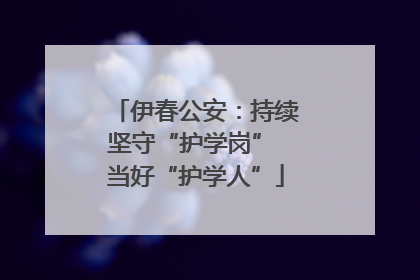 伊春公安：持续坚守“护学岗” 当好“护学人”