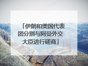 伊朗和美国代表团分别与阿曼外交大臣进行磋商