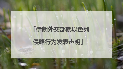 伊朗外交部就以色列侵略行为发表声明