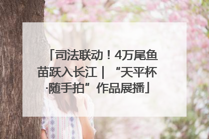 司法联动！4万尾鱼苗跃入长江｜“天平杯·随手拍”作品展播