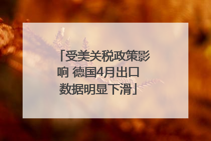 受美关税政策影响 德国4月出口数据明显下滑