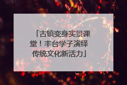 古镇变身实景课堂！丰台学子演绎传统文化新活力
