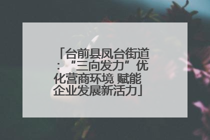 台前县凤台街道：“三向发力”优化营商环境 赋能企业发展新活力