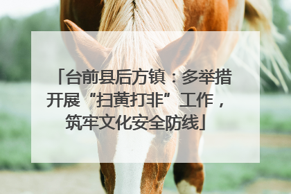 台前县后方镇：多举措开展“扫黄打非”工作，筑牢文化安全防线