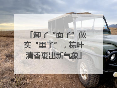 卸了“面子”做实“里子”，粽叶清香裹出新气象