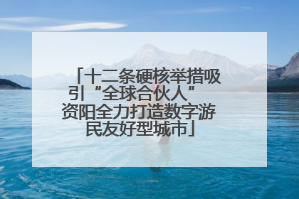 十二条硬核举措吸引“全球合伙人” 资阳全力打造数字游民友好型城市