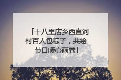 十八里店乡西直河村百人包粽子，共绘节日暖心画卷