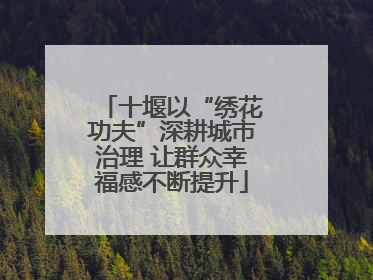 十堰以“绣花功夫”深耕城市治理 让群众幸福感不断提升