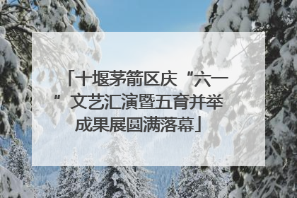 十堰茅箭区庆“六一”文艺汇演暨五育并举成果展圆满落幕