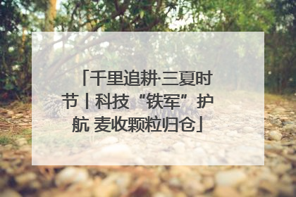 千里追耕·三夏时节丨科技“铁军”护航 麦收颗粒归仓