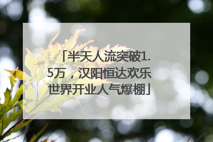 半天人流突破1.5万，汉阳恒达欢乐世界开业人气爆棚