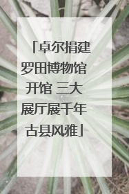 卓尔捐建罗田博物馆开馆 三大展厅展千年古县风雅