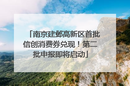 南京建邺高新区首批信创消费券兑现！第二批申报即将启动
