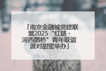 南京金融城党建联盟2025“红链・河西鹊桥”青年联谊派对甜蜜举办