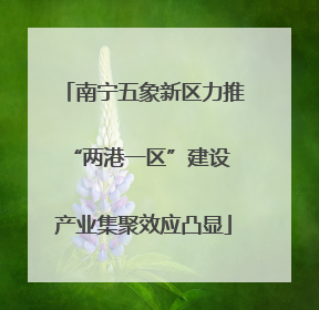 南宁五象新区力推“两港一区”建设 产业集聚效应凸显