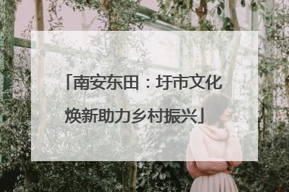 南安东田：圩市文化焕新助力乡村振兴