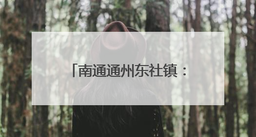 南通通州东社镇：“五一”返乡，党员们“归巢”学习