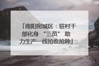南阳宛城区：驻村干部化身 “三员” 助力生产一线抢收抢种
