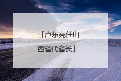 卢东亮任山西省代省长