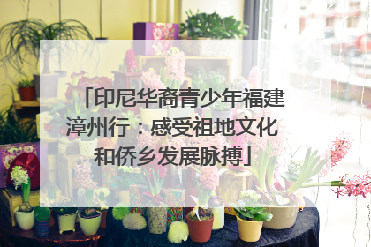 印尼华裔青少年福建漳州行：感受祖地文化和侨乡发展脉搏