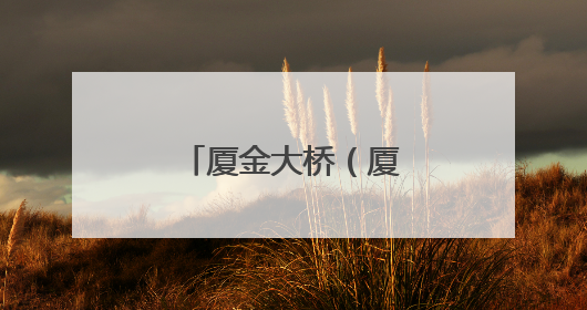 厦金大桥（厦门段）“厦金号”盾构机始发