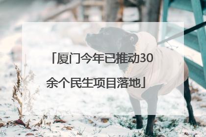 厦门今年已推动30余个民生项目落地