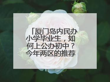 厦门岛内民办小学毕业生，如何上公办初中？今年两区的推荐方案是这样