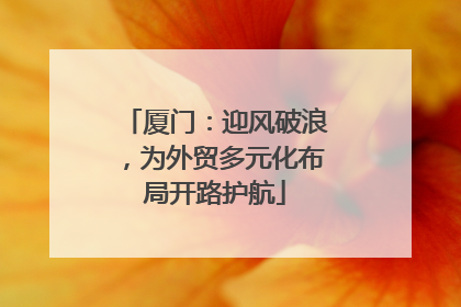 厦门：迎风破浪，为外贸多元化布局开路护航