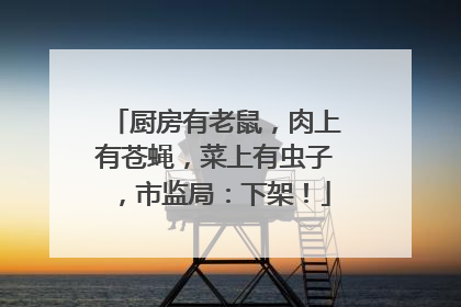 厨房有老鼠，肉上有苍蝇，菜上有虫子，市监局：下架！