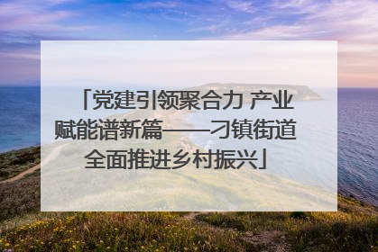 党建引领聚合力 产业赋能谱新篇——刁镇街道全面推进乡村振兴