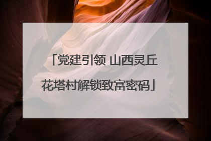 党建引领 山西灵丘花塔村解锁致富密码