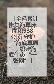 全省累计修复海草床面积938公顷 守护“海底草原”，织密海底生态“一张网”