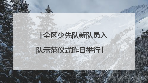 全区少先队新队员入队示范仪式昨日举行