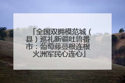 全国双拥模范城（县）巡礼新疆吐鲁番市：葡萄藤蔓根连根 火洲军民心连心