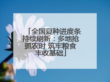 全国夏种进度条持续刷新：多地抢抓农时 筑牢粮食丰收基础