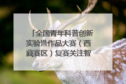 全国青年科普创新实验暨作品大赛（西藏赛区）复赛关注智慧环保等主题