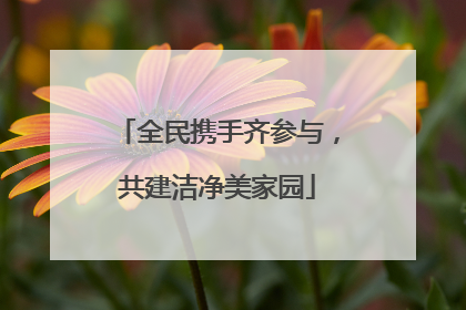 全民携手齐参与，共建洁净美家园