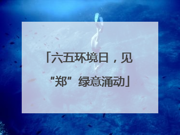 六五环境日，见“郑”绿意涌动